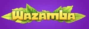 Mega.nz download