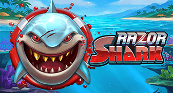 Bet casino online