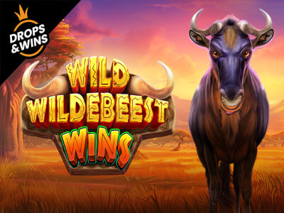 Www bet365 com br